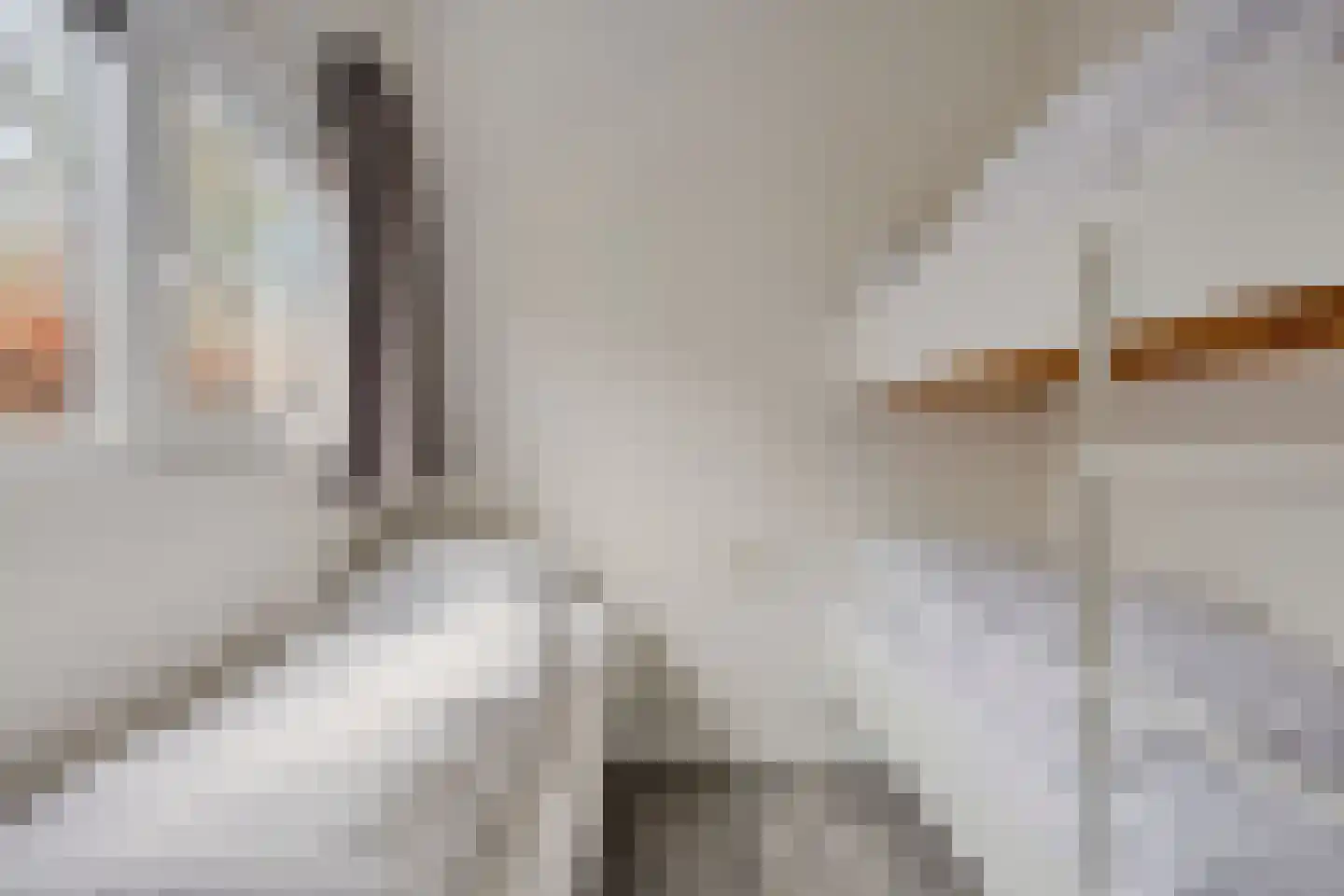 Immenweg 15 R 653 Lunteren thumbnail 18