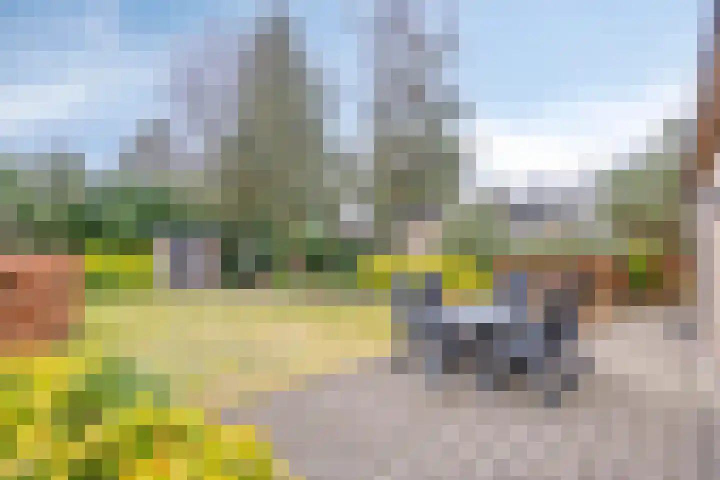 Immenweg 15 R 653 Lunteren thumbnail 21