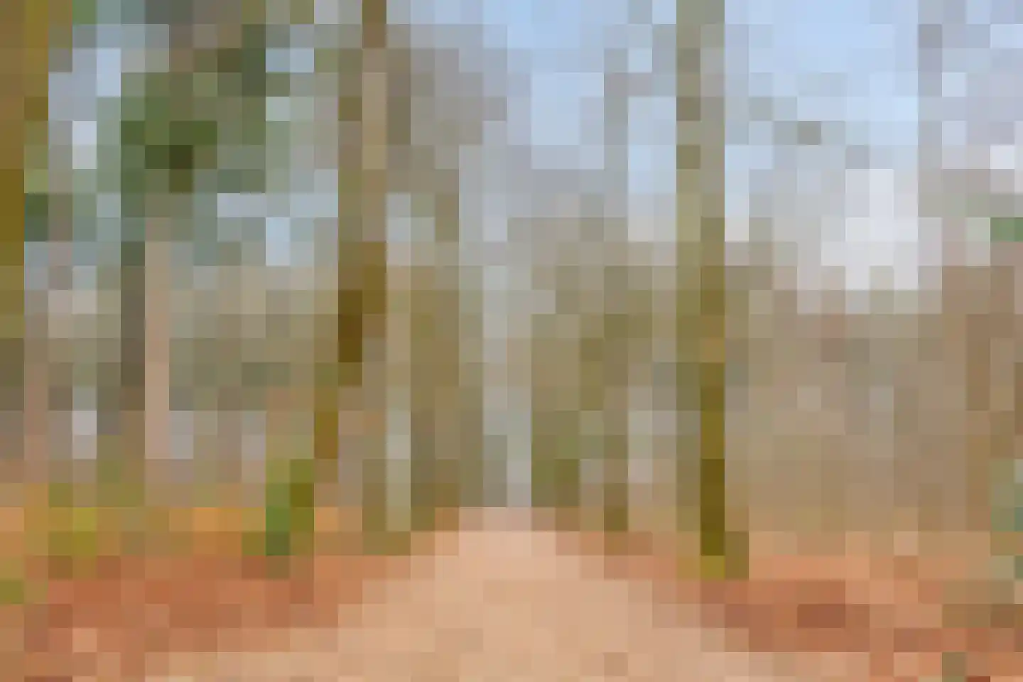 Immenweg 15 R 653 Lunteren thumbnail 31