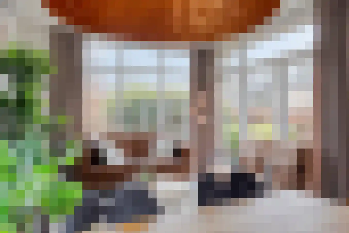 Immenweg 15 R 653 Lunteren thumbnail 7