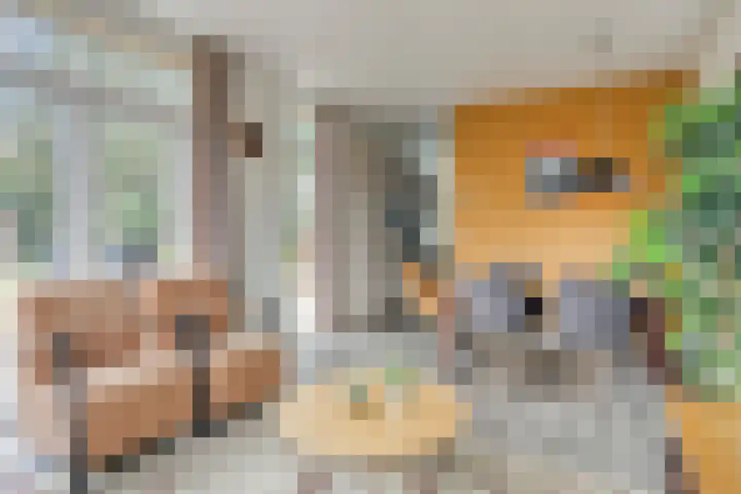 Immenweg 15 R 653 Lunteren thumbnail 8