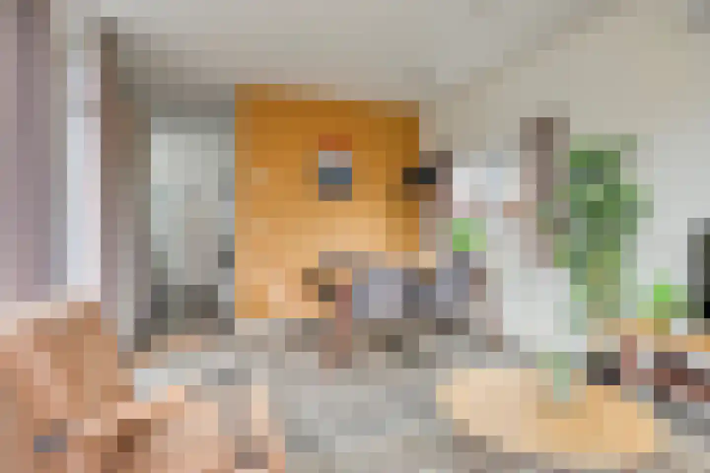 Immenweg 15 R 653 Lunteren thumbnail 9