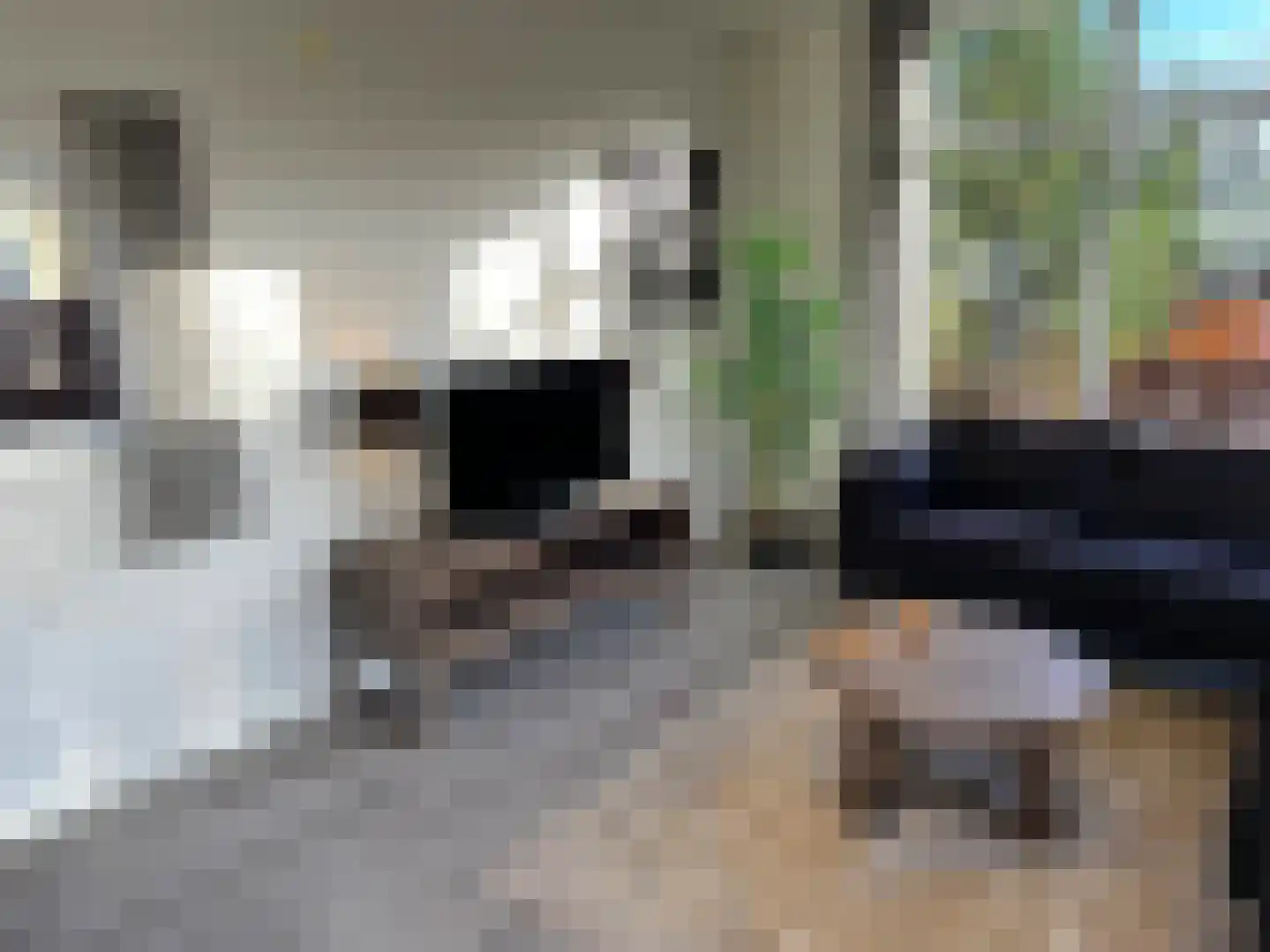 Immenweg 15 R 654 Lunteren thumbnail 11