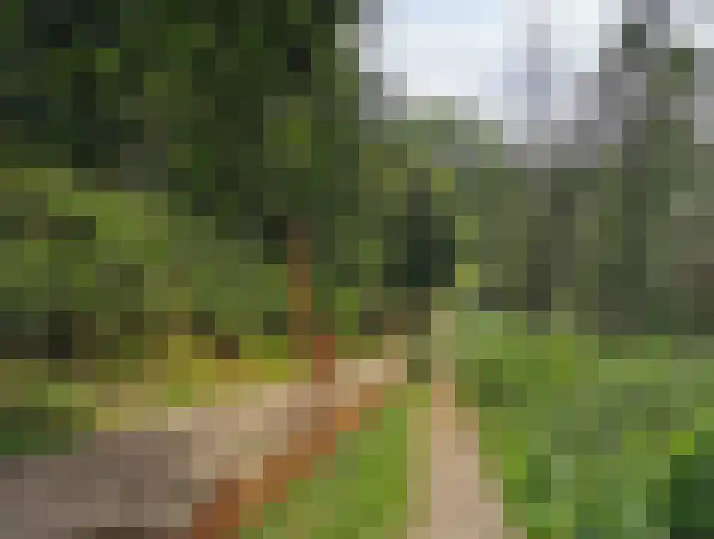 Immenweg 15 R 654 Lunteren thumbnail 33