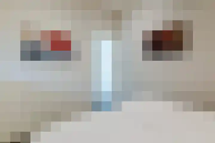 Immenweg 15 R 670 Lunteren thumbnail 11