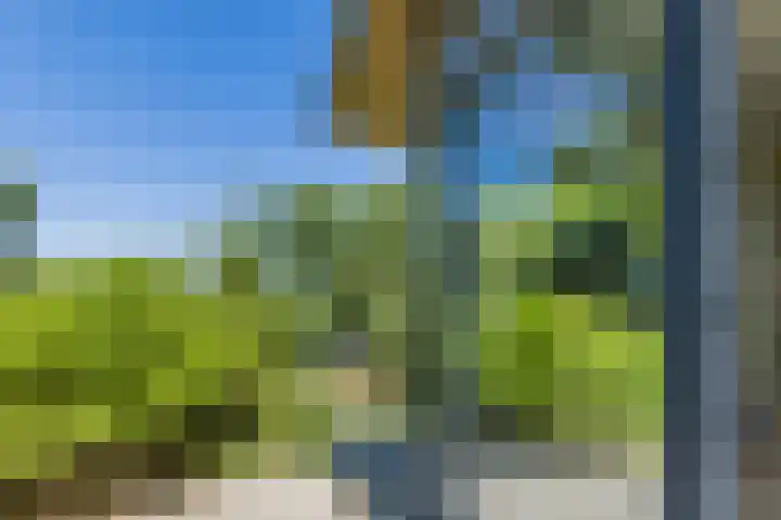Immenweg 15 R 670 Lunteren thumbnail 18