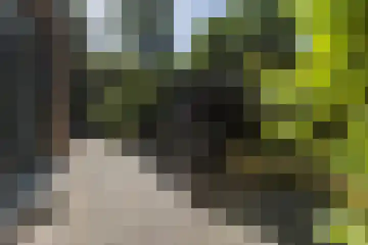 Immenweg 15 R 670 Lunteren thumbnail 19