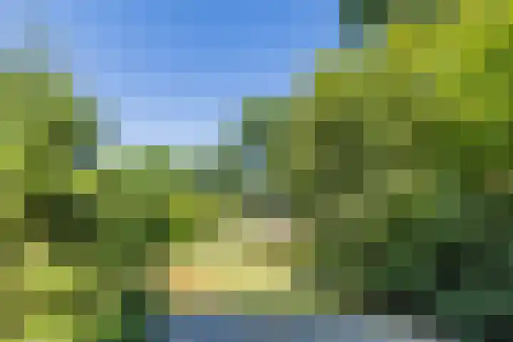 Immenweg 15 R 670 Lunteren thumbnail 20