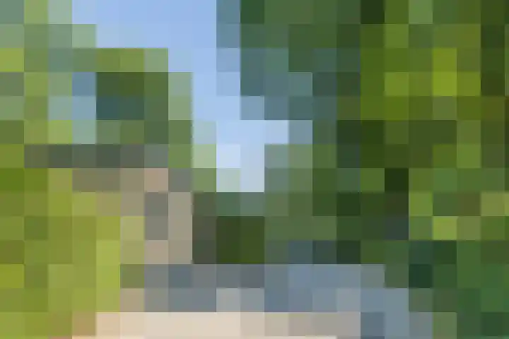 Immenweg 15 R 670 Lunteren thumbnail 22