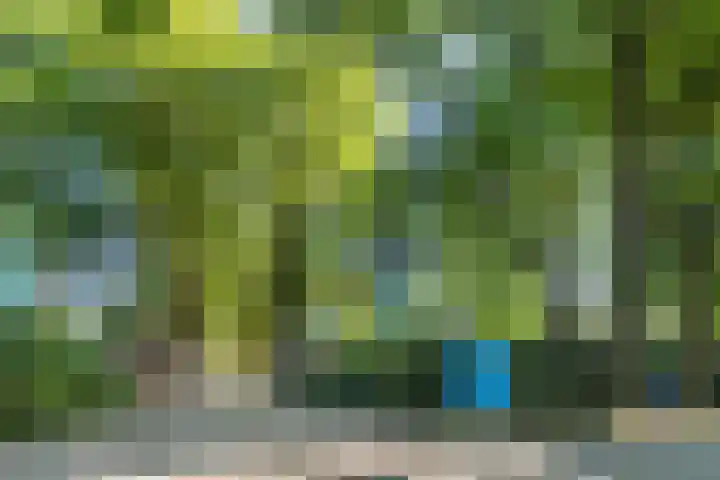Immenweg 15 R 670 Lunteren thumbnail 27