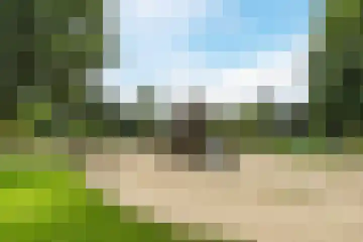 Immenweg 15 R 670 Lunteren thumbnail 28