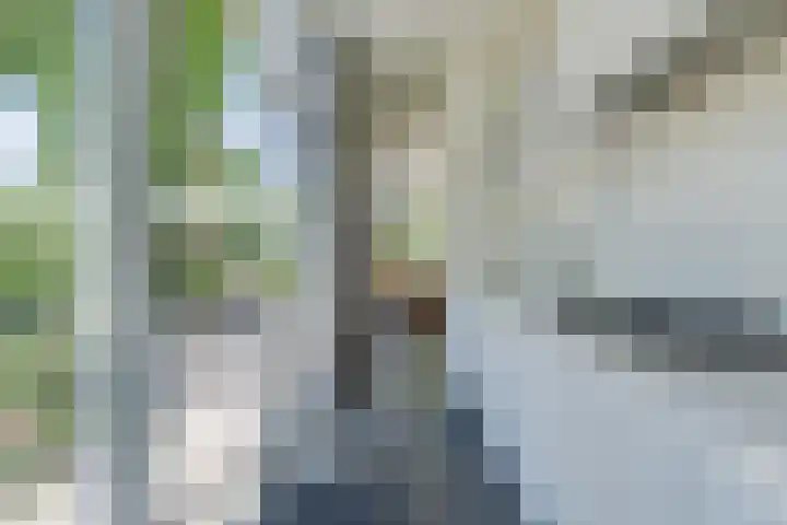 Immenweg 15 R 670 Lunteren thumbnail 7