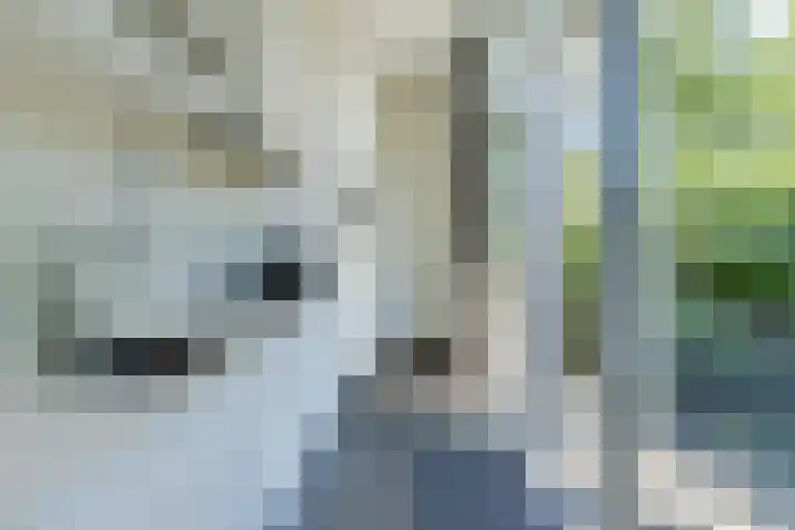 Immenweg 15 R 670 Lunteren thumbnail 8
