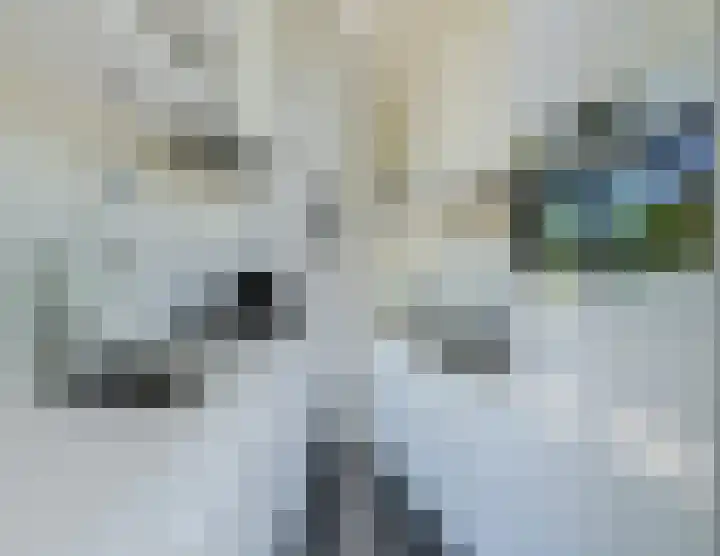 Immenweg 15 R 670 Lunteren thumbnail 9