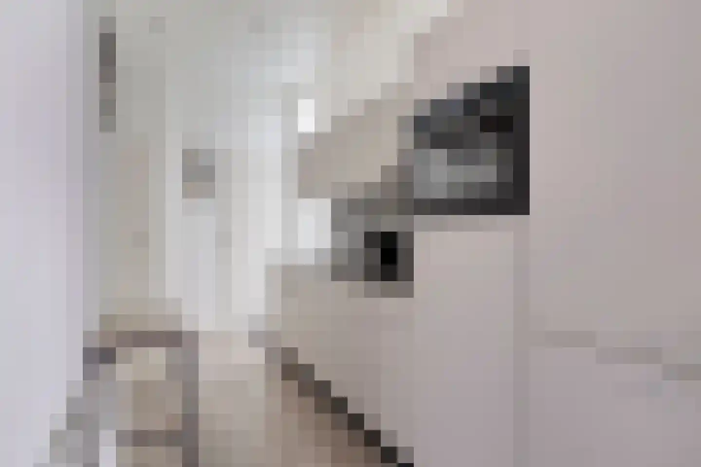 Immenweg 15 R 688 Lunteren thumbnail 10