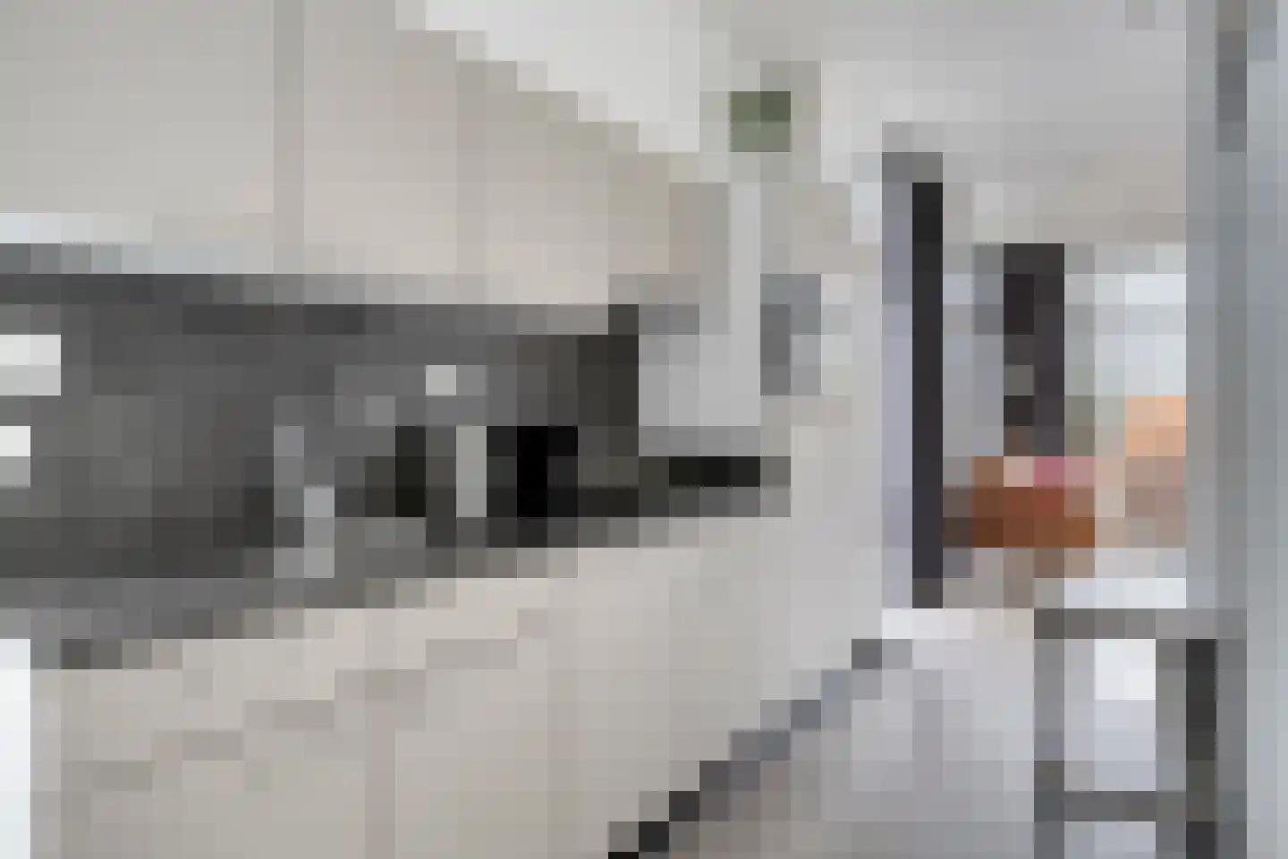 Immenweg 15 R 688 Lunteren thumbnail 11