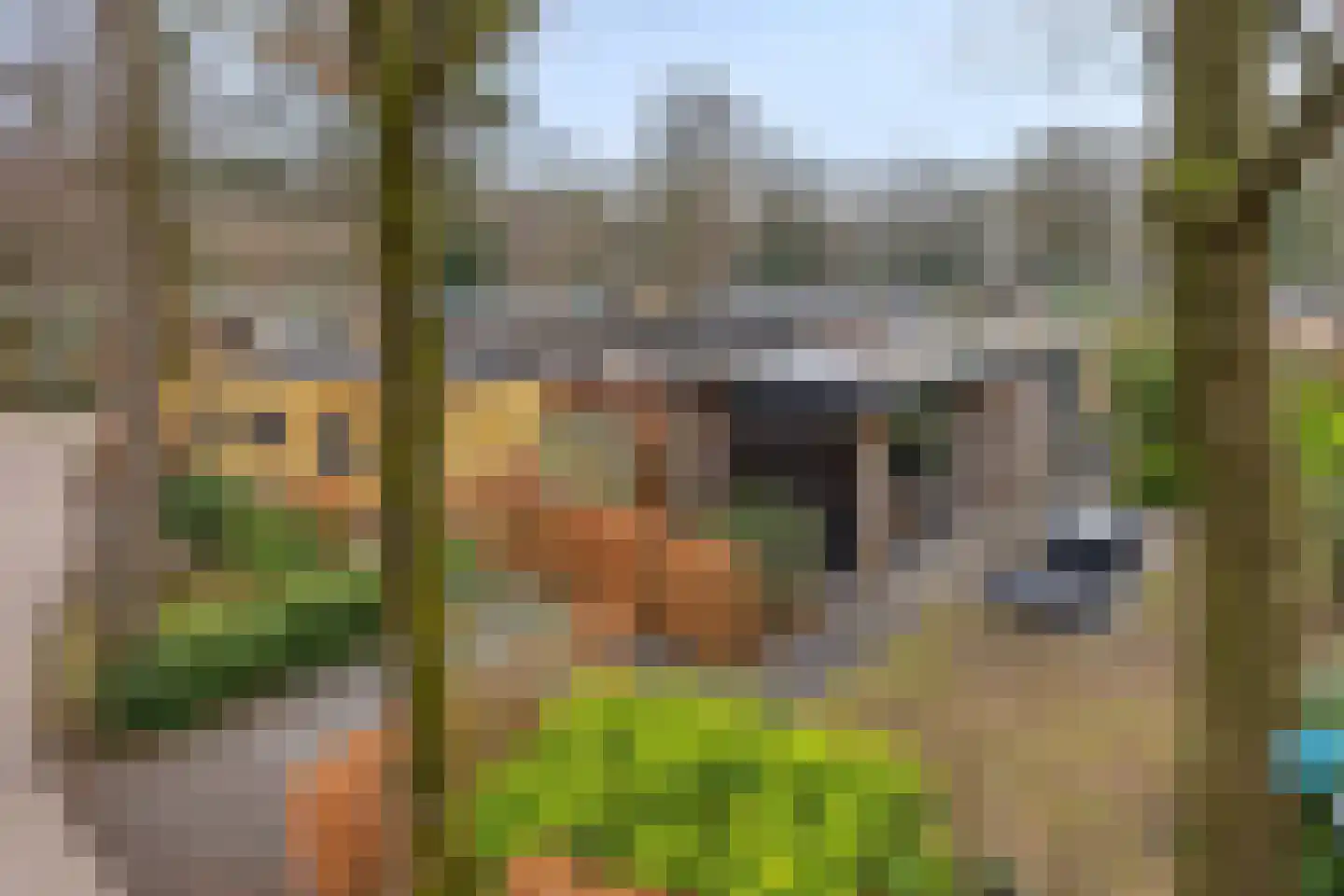Immenweg 15 R 688 Lunteren thumbnail 22