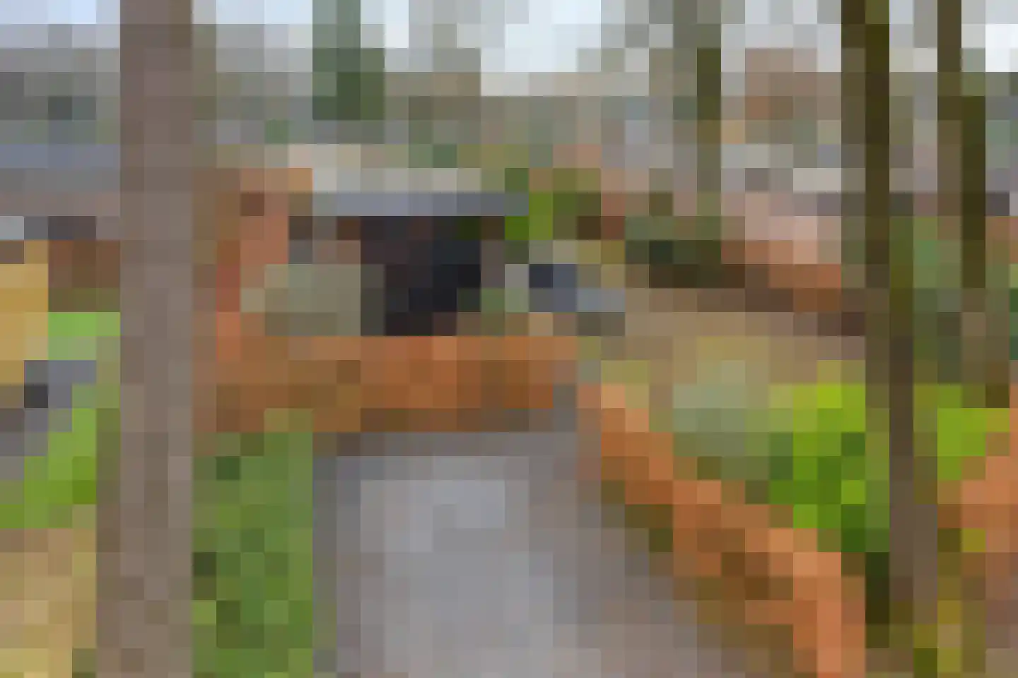 Immenweg 15 R 688 Lunteren thumbnail 24