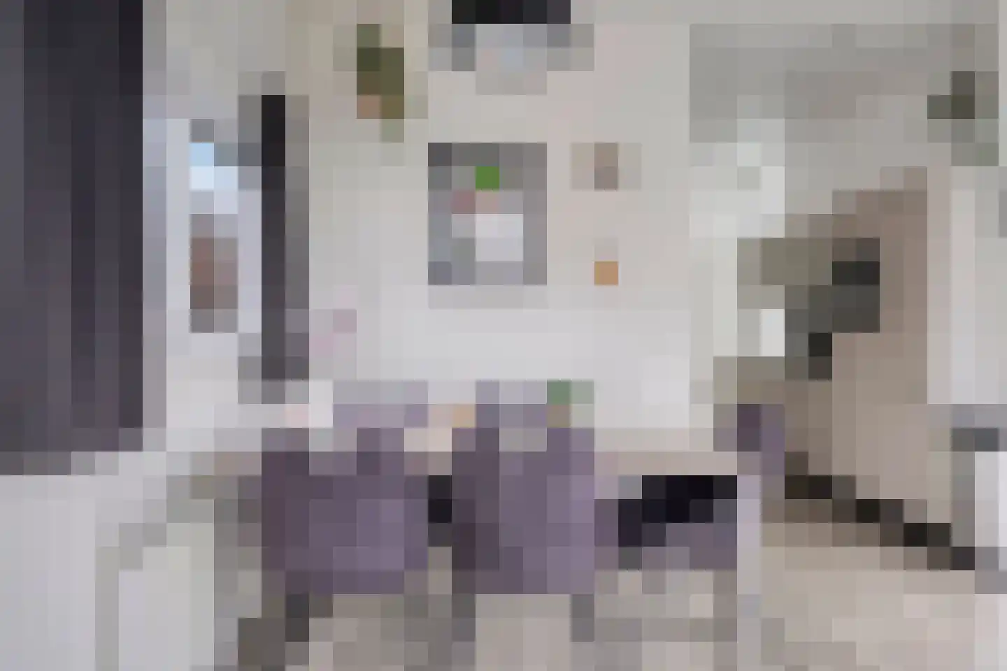 Immenweg 15 R 688 Lunteren thumbnail 9
