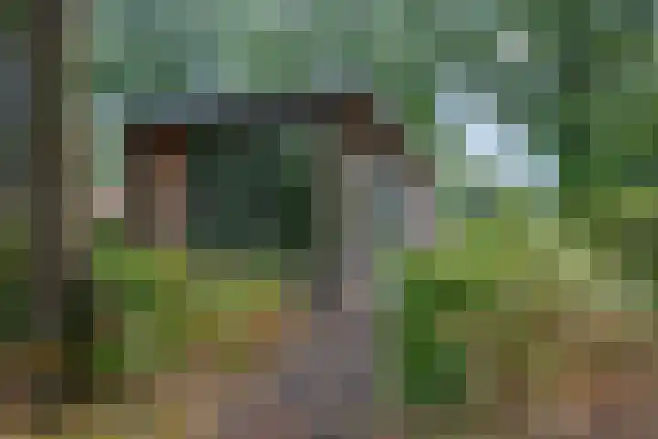 Immenweg 15 R 690 Lunteren thumbnail 25