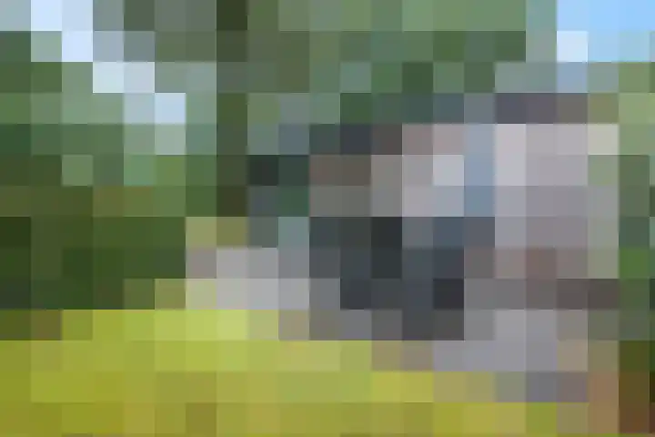Immenweg 15 R 690 Lunteren thumbnail 26