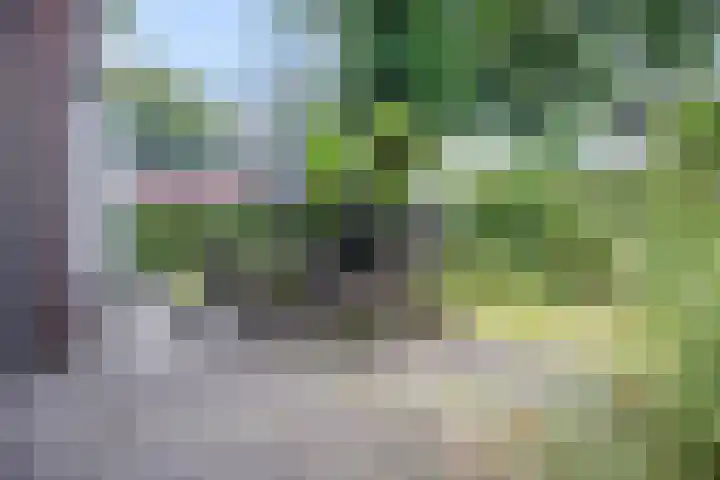 Immenweg 15 R 690 Lunteren thumbnail 27
