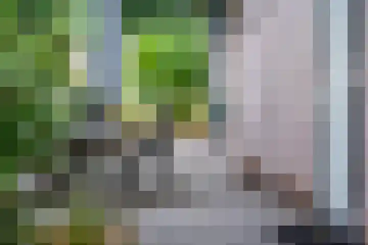 Immenweg 15 R 690 Lunteren thumbnail 28
