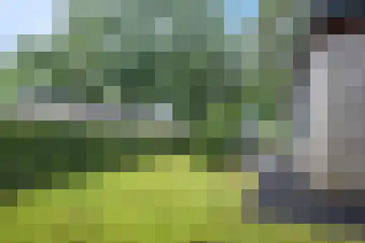 Immenweg 15 R 690 Lunteren thumbnail 29
