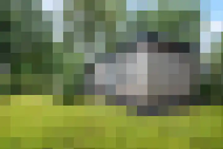Immenweg 15 R 690 Lunteren thumbnail 31
