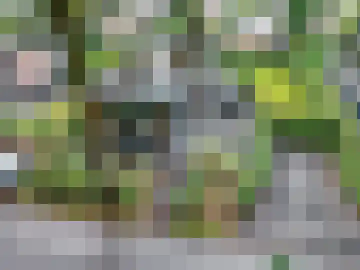Immenweg 15 R 690 Lunteren thumbnail 32