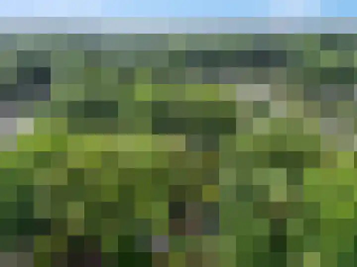 Immenweg 15 R 690 Lunteren thumbnail 33