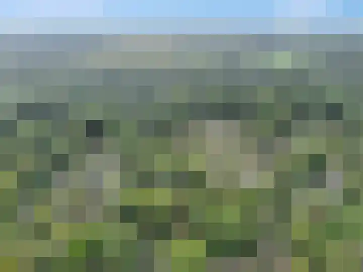 Immenweg 15 R 690 Lunteren thumbnail 34