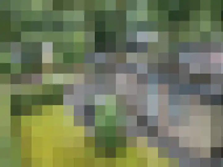 Immenweg 15 R 690 Lunteren thumbnail 35