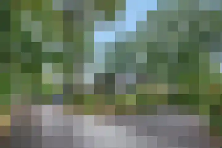 Immenweg 15 R 690 Lunteren thumbnail 37