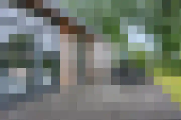 Immenweg 15 R 690 Lunteren thumbnail 5