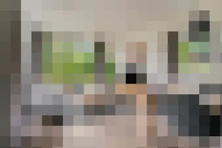 Immenweg 15 R 690 Lunteren thumbnail 9