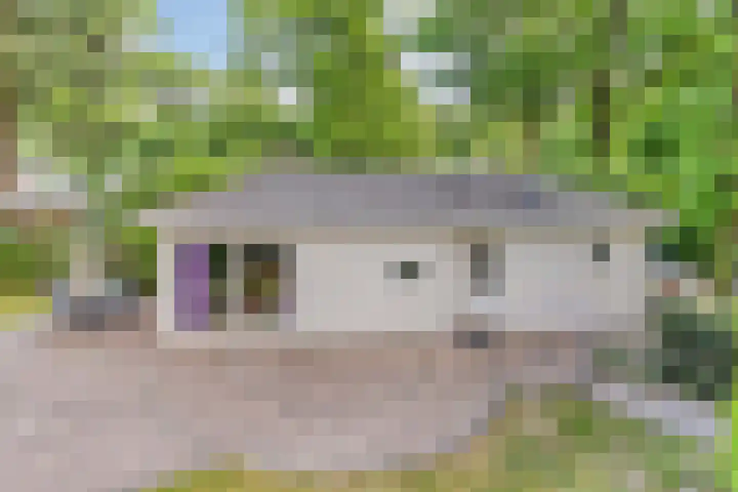 Immenweg 15 R 80 Lunteren thumbnail 13
