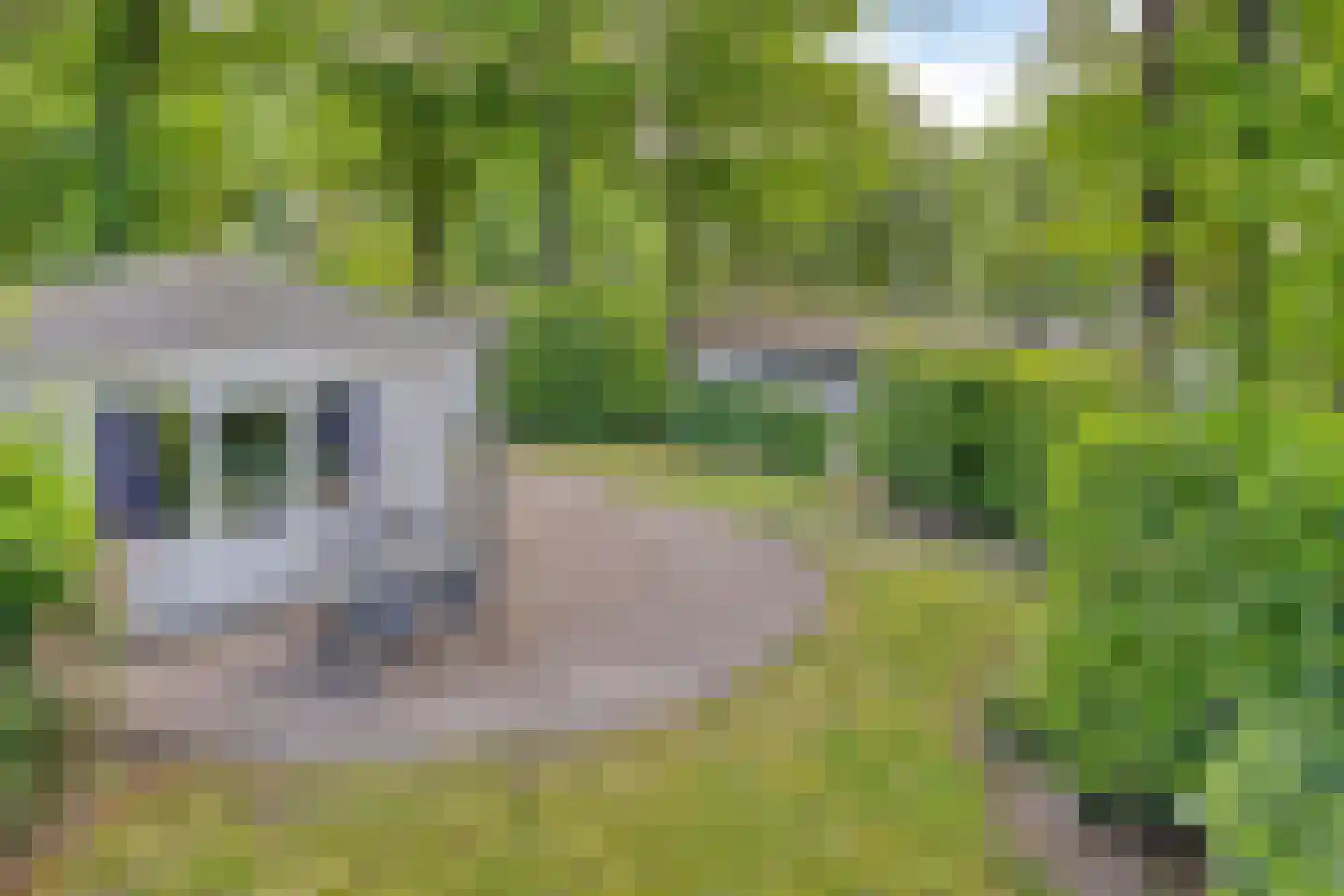 Immenweg 15 R 80 Lunteren thumbnail 15