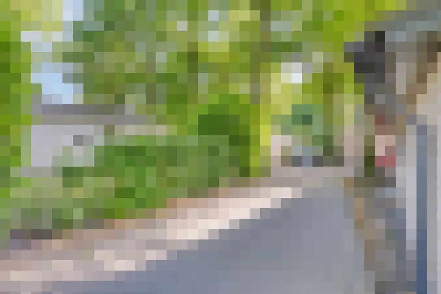 Immenweg 15 R 80 Lunteren thumbnail 19