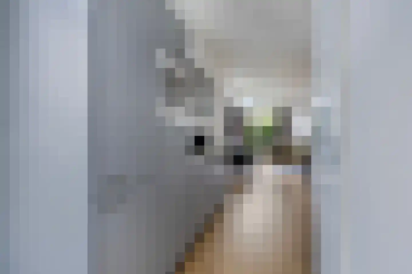 Immenweg 15 R 83A Lunteren thumbnail 10