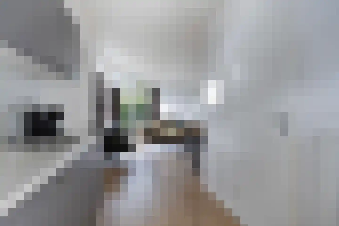 Immenweg 15 R 83A Lunteren thumbnail 12