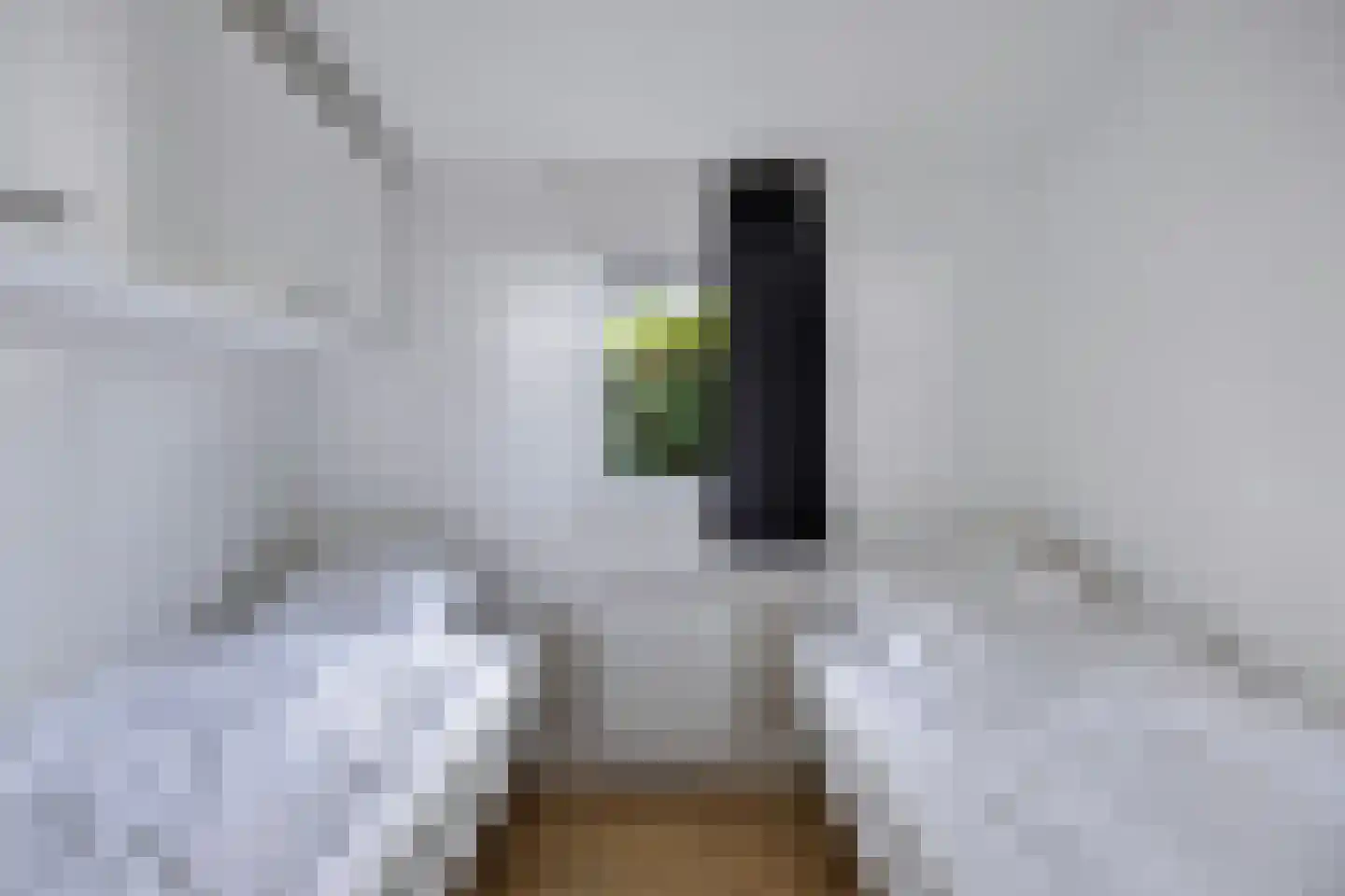 Immenweg 15 R 83A Lunteren thumbnail 16