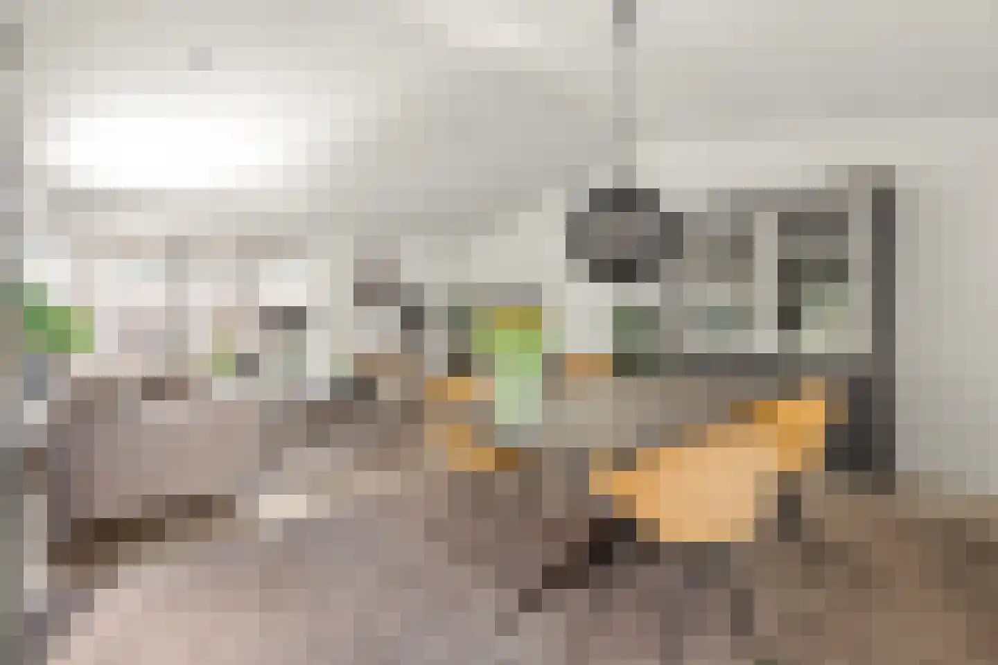 Immenweg 15 R 84 Lunteren thumbnail 10