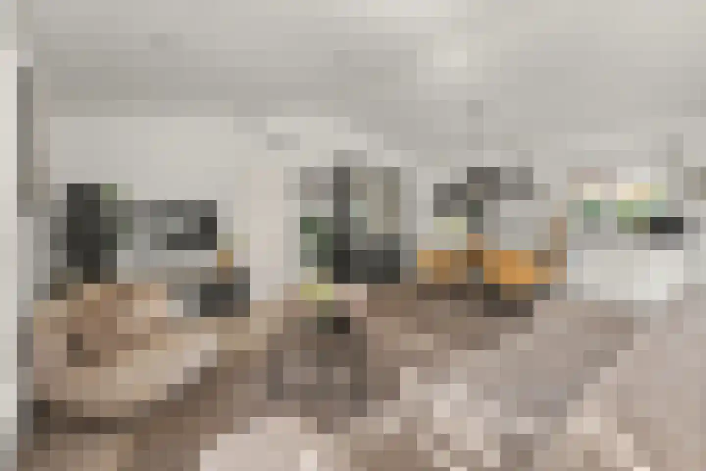 Immenweg 15 R 84 Lunteren thumbnail 11