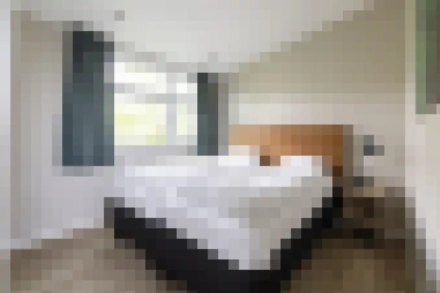 Immenweg 15 R 84 Lunteren thumbnail 16