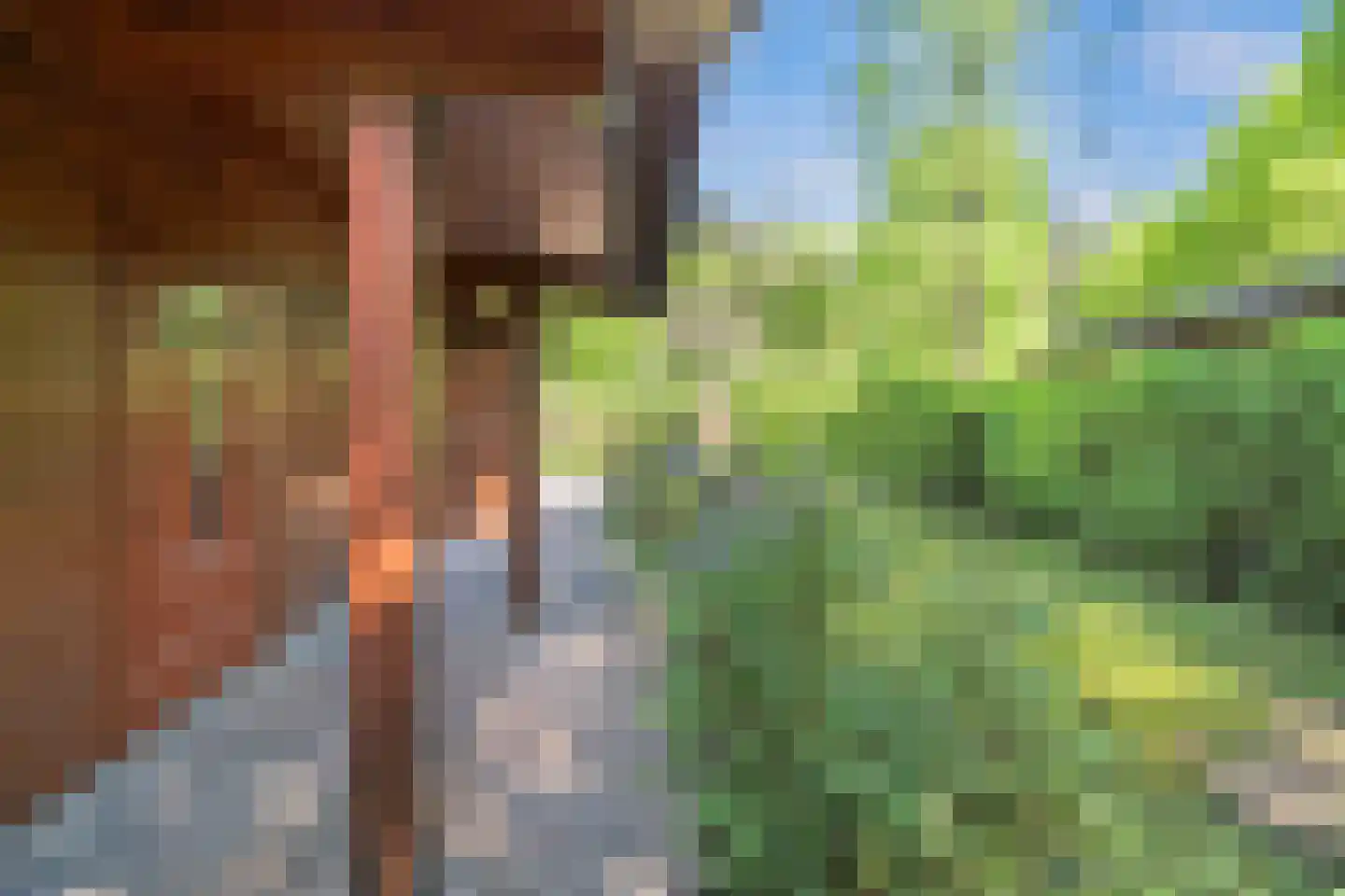 Immenweg 15 R 84 Lunteren thumbnail 17