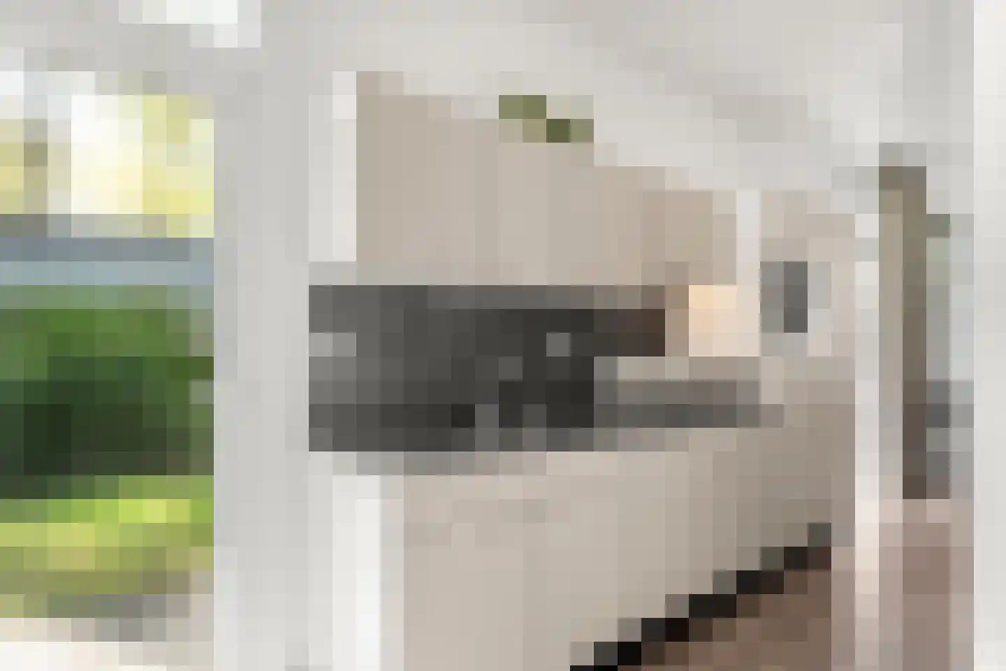 Immenweg 15 R 84 Lunteren thumbnail 18