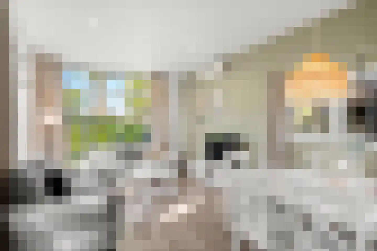 Immenweg 15 R 84 Lunteren thumbnail 19