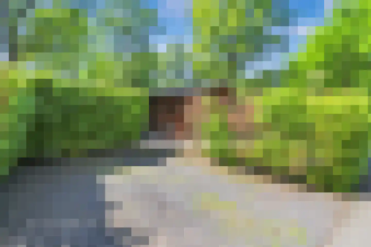 Immenweg 15 R 84 Lunteren thumbnail 20