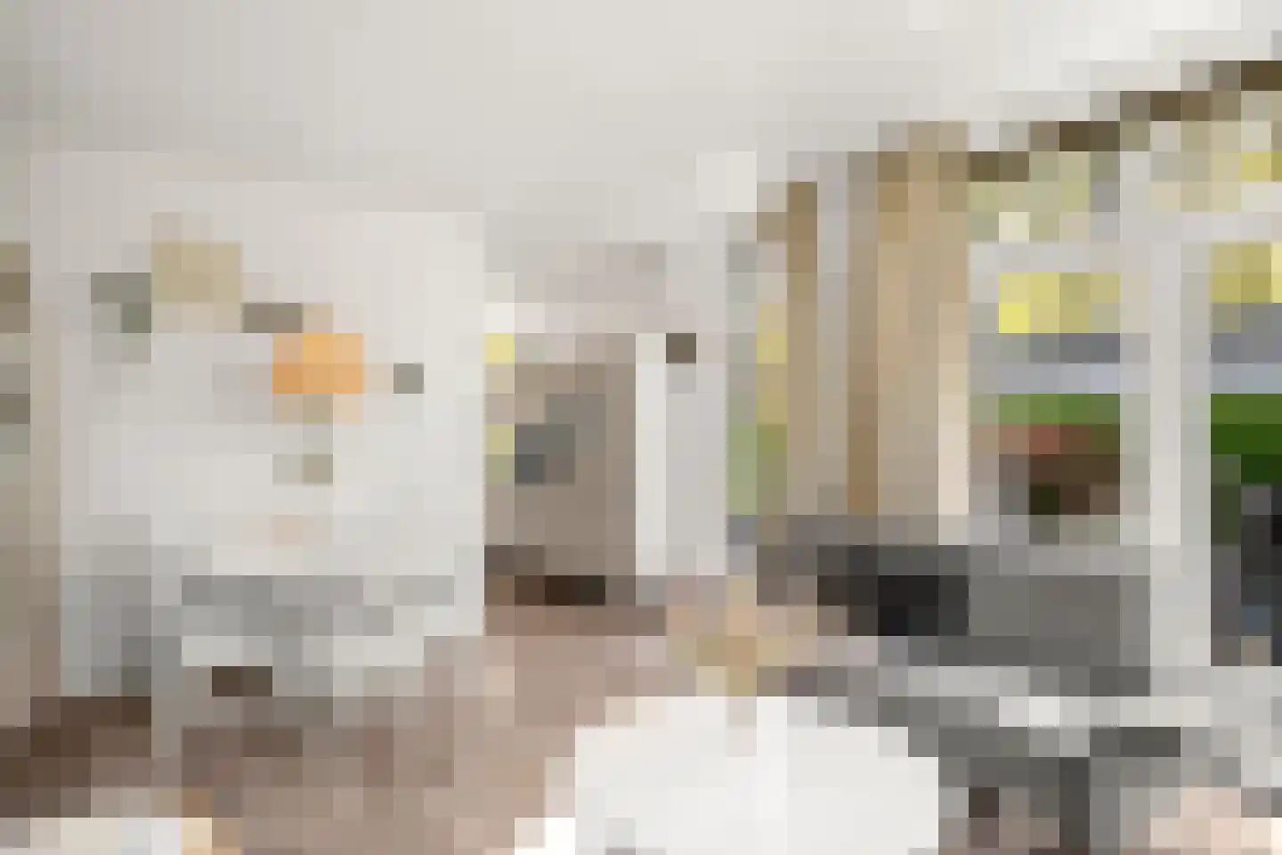 Immenweg 15 R 84 Lunteren thumbnail 21
